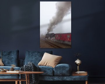 Die Brockenbahn im Nebel am Bahnhof Schierke (3) von t.ART