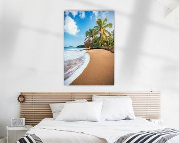 Caribisch strand met palmbomen in Guadeloupe van Jean Claude Castor