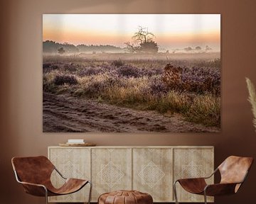 Strabrechtse Heide by Rob Boon