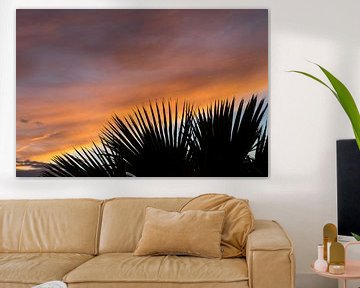 Palmbladeren en zachte wolken bij zonsondergang van Adriana Mueller