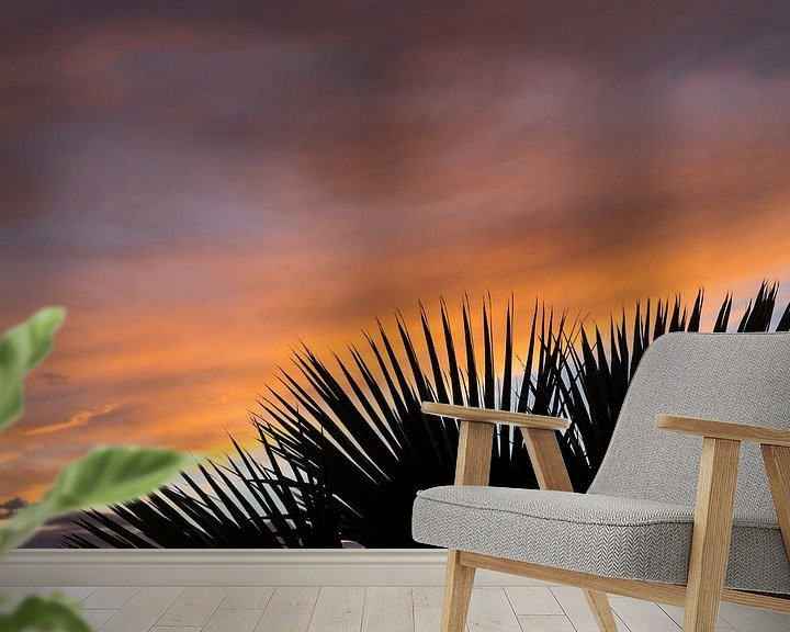 Beispiel fototapete: Palmenblätter und weiche Wolken bei Sonnenuntergang von Montepuro