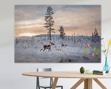 Rendieren in een winters landschap van Marco Lodder
