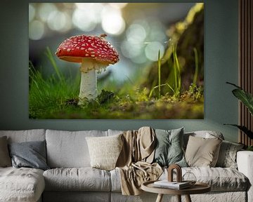 Op een grote paddenstoel van Stephan Krabbendam