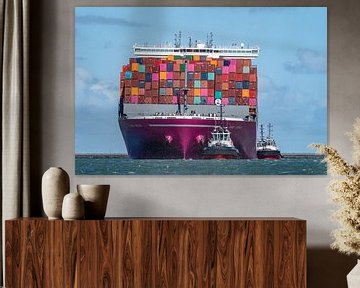 Containerschip de "One Swan". van Jaap van den Berg