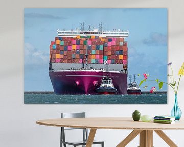 Containerschip ONE Swan. van Jaap van den Berg