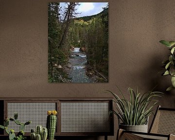 Johnston Canyon von Timon Schneider