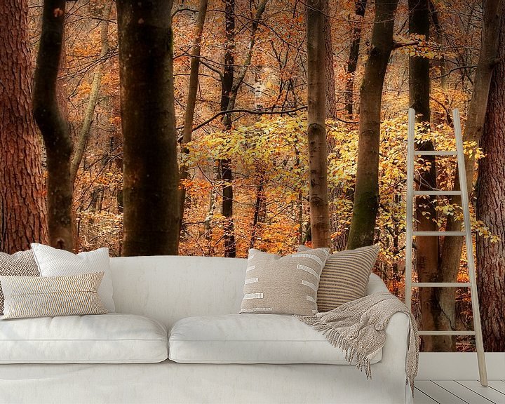 Sfeerimpressie behang: Nazomeren in het Eerbeekse bos van Sran Vld Fotografie