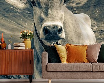 Cow on the mountain pasture in Switzerland - Monochrome by Werner Dieterich