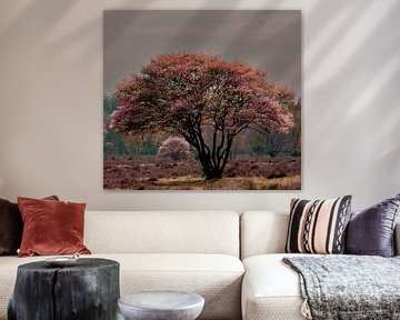 Magischer Baum von Lynlabiephotography