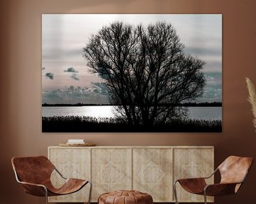 Baum am Wasser von Lynlabiephotography