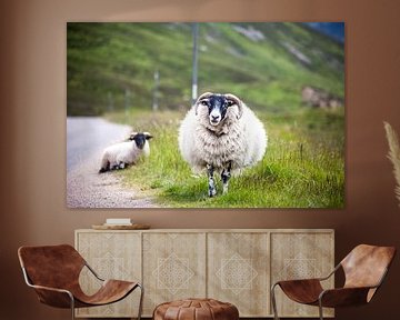 Schafe von Leonie Wagenaar