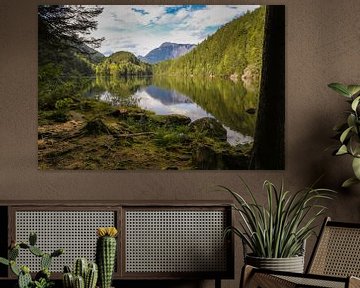 Spiegelung im Bergsee von Louise Poortvliet