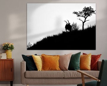 Silhouet van een Kudu in Het Krugerpark Zuid Afrika van Truus Hagen