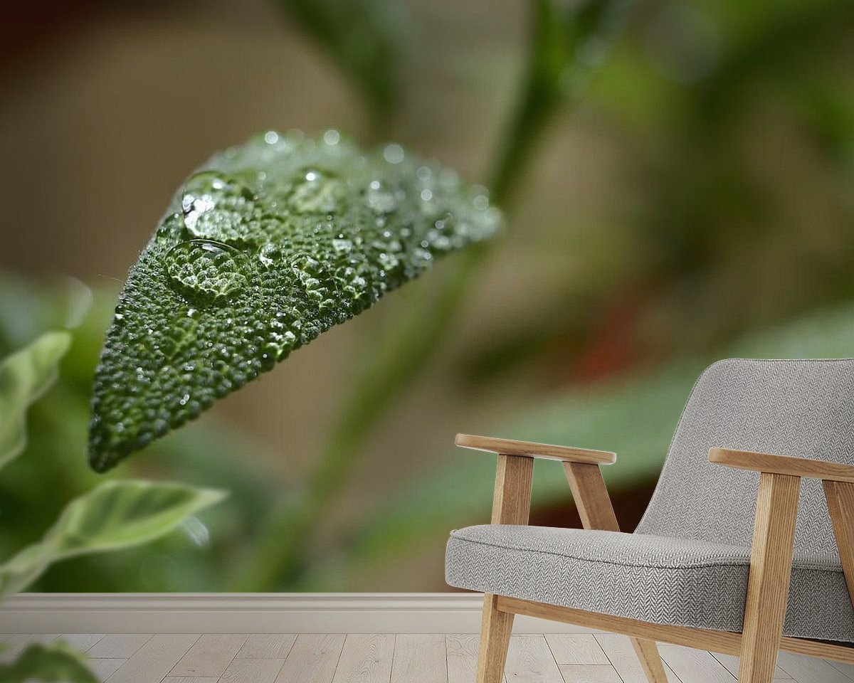 Raumvorschau