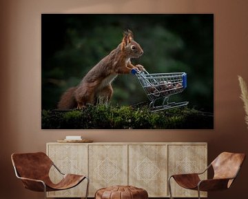 Squirrel with cart / shopping cart full of nuts. by Albert Beukhof