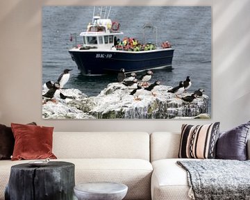 Crowded boats arrive at the overcrowded Farne Islands by Michelle Peeters