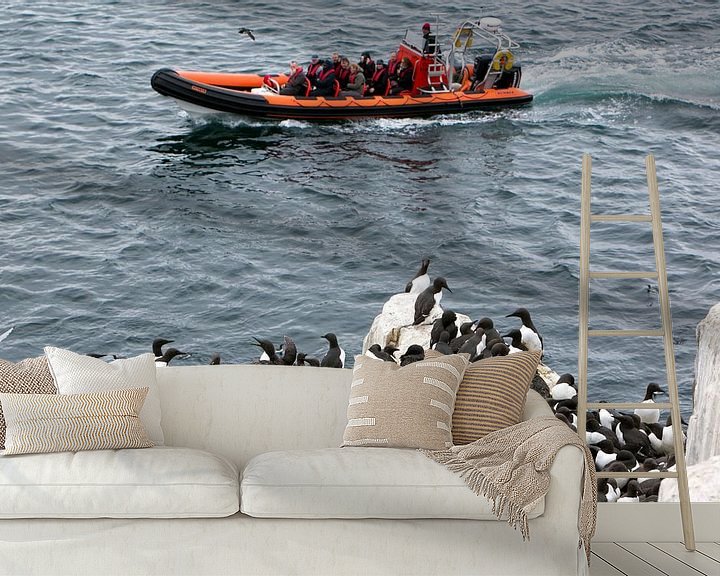 Sfeerimpressie behang: Overvolle boten arriveren op de overvolle Farne eilanden van Michelle Peeters