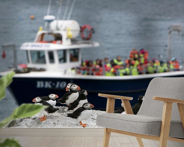 Sfeerimpressie behang: Overvolle boten arriveren op de overvolle Farne eilanden van Michelle Peeters