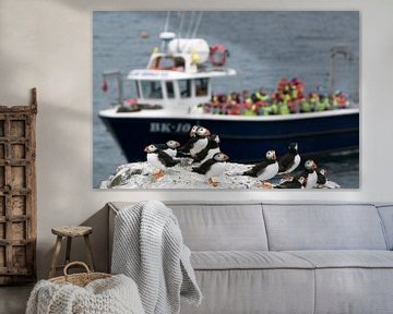 Crowded boats arrive at the overcrowded Farne Islands by Michelle Peeters