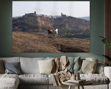 paarden in Arcos de la Frontera, Spanje van Bert Weber