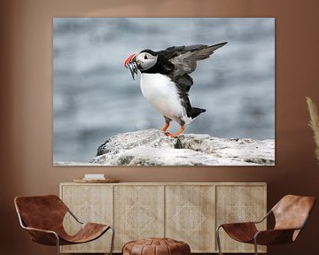 Puffin with fish in its beak by Michelle Peeters