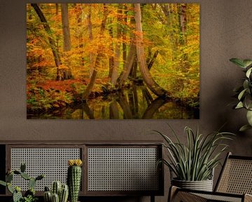 Autumn Creek von Ronald Kamphuis