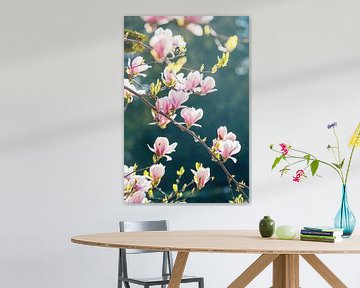Die Magnolienblüte von Monique Van Den Bogaert