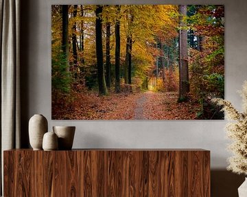 Pad door een beukenbos in de herfst van Sjoerd van der Wal Fotografie