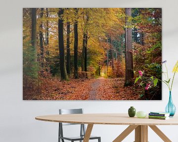 Chemin à travers une forêt de hêtres à l'automne sur Sjoerd van der Wal