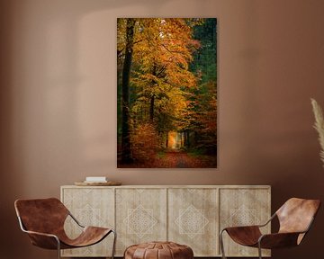 Pad door een beukenbos in de herfst van Sjoerd van der Wal Fotografie