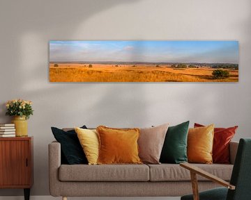 Asselsche Heide panoramic view over the wide open plains during  by Sjoerd van der Wal Photography