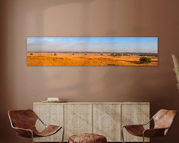Vue panoramique de l'Asselsche Heide sur les grandes plaines ouvertes pendant sur Sjoerd van der Wal