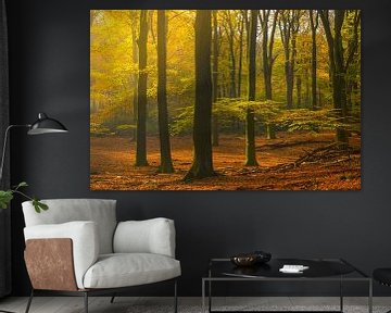 Landschap in een beukenbos tijdens de herfst van Sjoerd van der Wal Fotografie