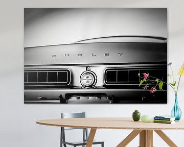 Ford Shelby GT 350 Fastback by Linda Hutten