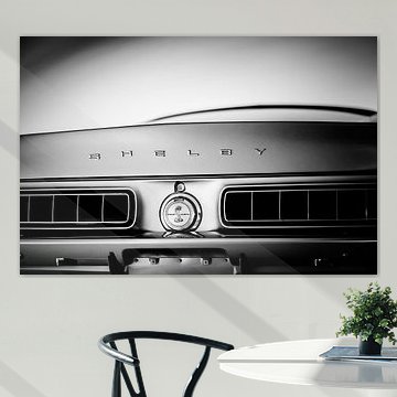 Ford Shelby GT 350 Fastback