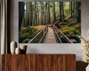 Houten brug in het regenwoud van British Columbia - donker groen bos in Canada van Marit Hilarius