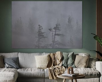 Misty morning in Canada van Larissa Rand
