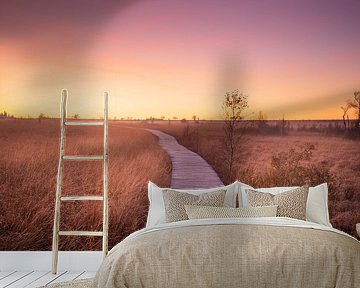 Sunset over the beautiful High Fens by Ken Costers