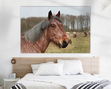 een portret van een bruin paard in een natuurlijk grasland van Angelique Nijssen