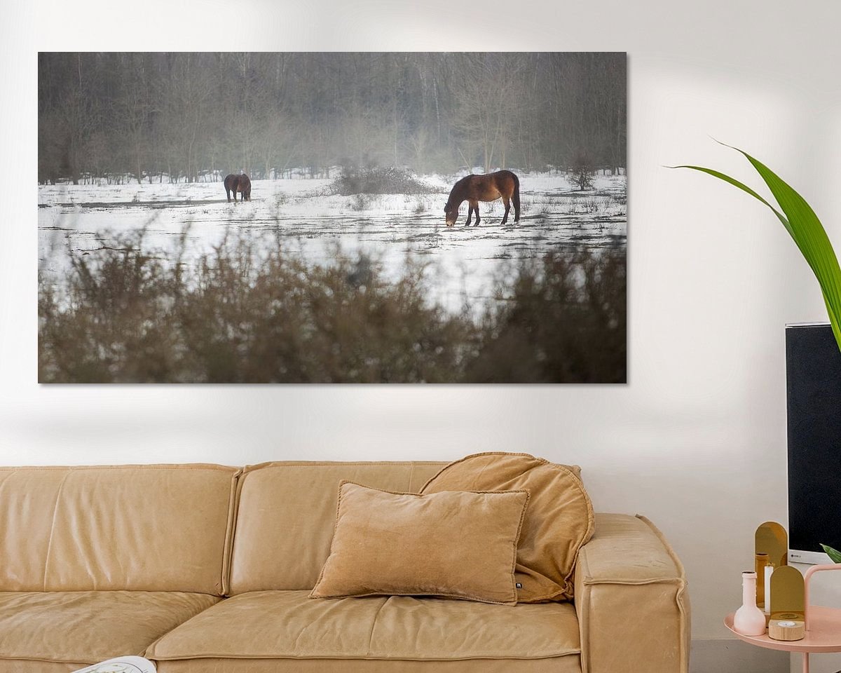 Raumvorschau