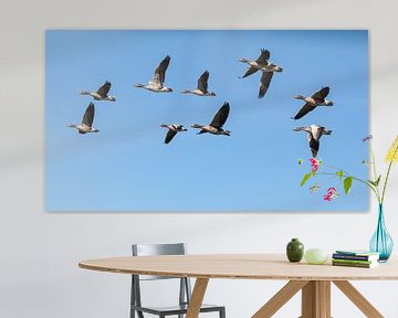Flying geese by Special Moments MvL