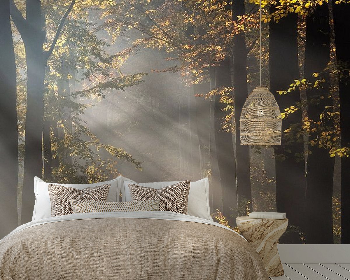 Raumvorschau
