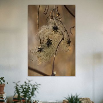 Les illusions de la nature