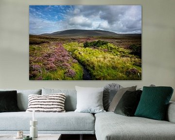 Blühende Heidelandschaft im irischen Moor von Bo Scheeringa Photography