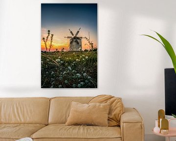 Stenen molen in de zonsondergang Tez Unagrn met bloemen van Fotos by Jan Wehnert