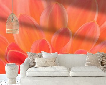 Petals of a dahlia by Dafne Vos