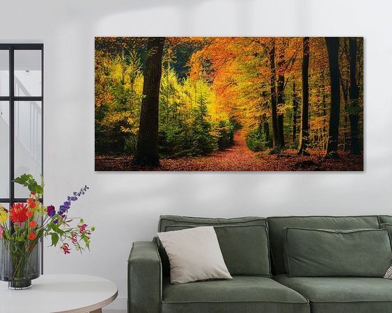 Aperçu de la chambre