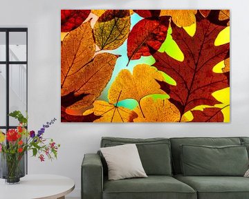Kleurrijke bladeren in de herfst van Thomas Riess