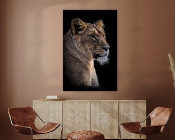 Lions : Portrait d'une belle lionne sur Marjolein van Middelkoop