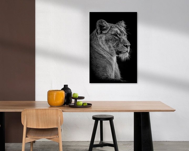 Sfeerimpressie: Leeuwen: Portret mooie leeuwin in zwart-wit van Marjolein van Middelkoop